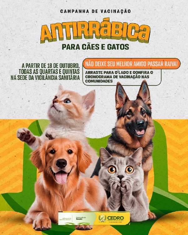 Recife e Olinda promovem vacinação antirrábica para cães e gatos neste  sábado (11) - Folha Pet - Folha PE